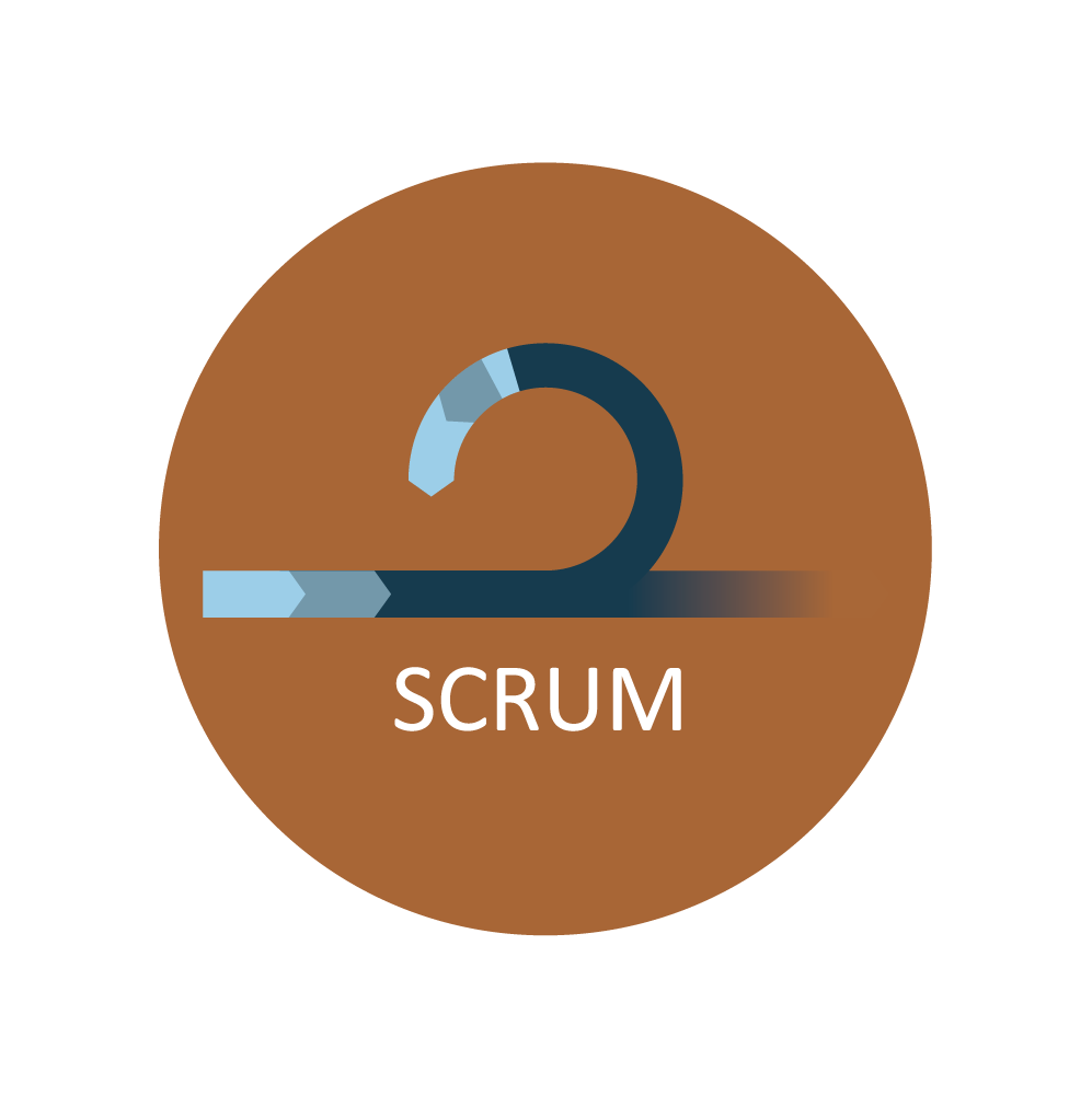 schema-gestion-de-projet.png