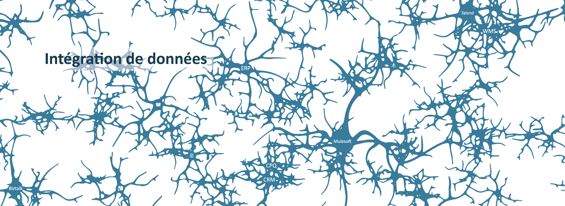 Centre de service en Intégration de données
